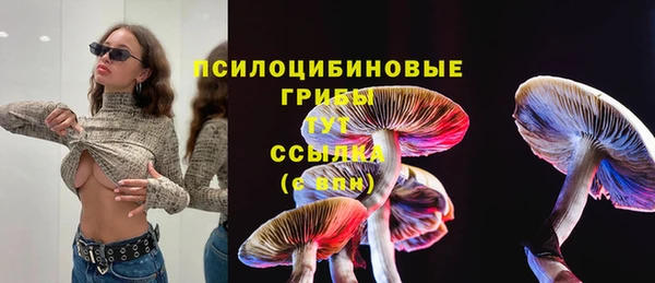 мяу мяу мука Балахна